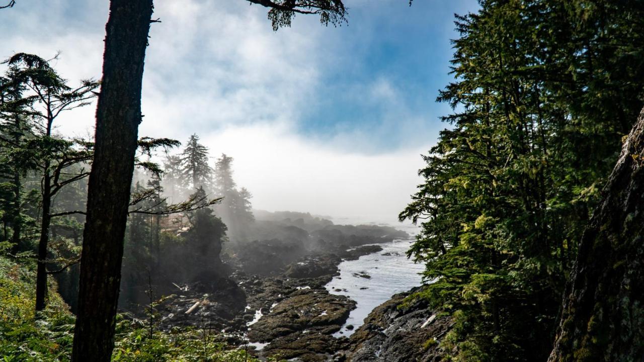 Odyssey Shores Guest Suite Ucluelet Exteriér fotografie