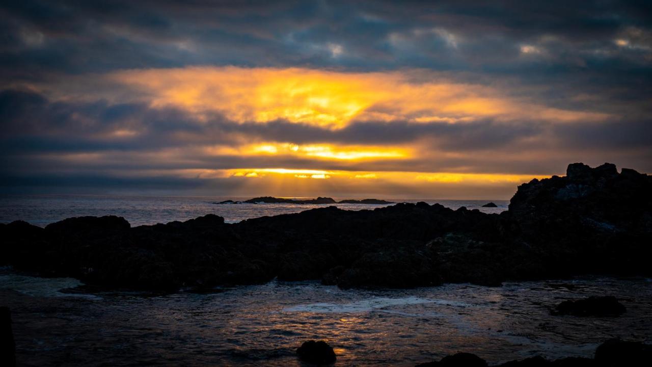 Odyssey Shores Guest Suite Ucluelet Exteriér fotografie