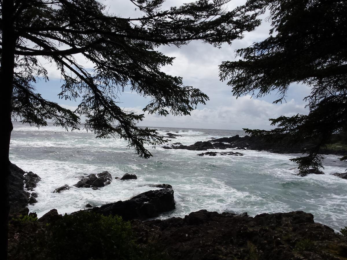 Odyssey Shores Guest Suite Ucluelet Exteriér fotografie