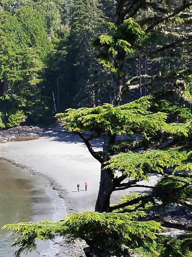 Odyssey Shores Guest Suite Ucluelet Exteriér fotografie