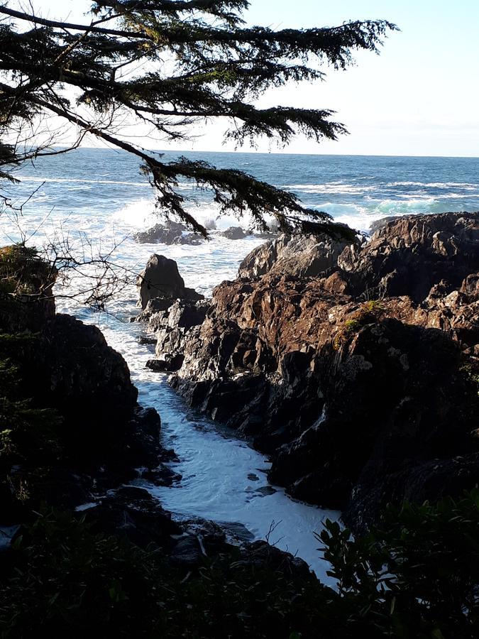 Odyssey Shores Guest Suite Ucluelet Exteriér fotografie