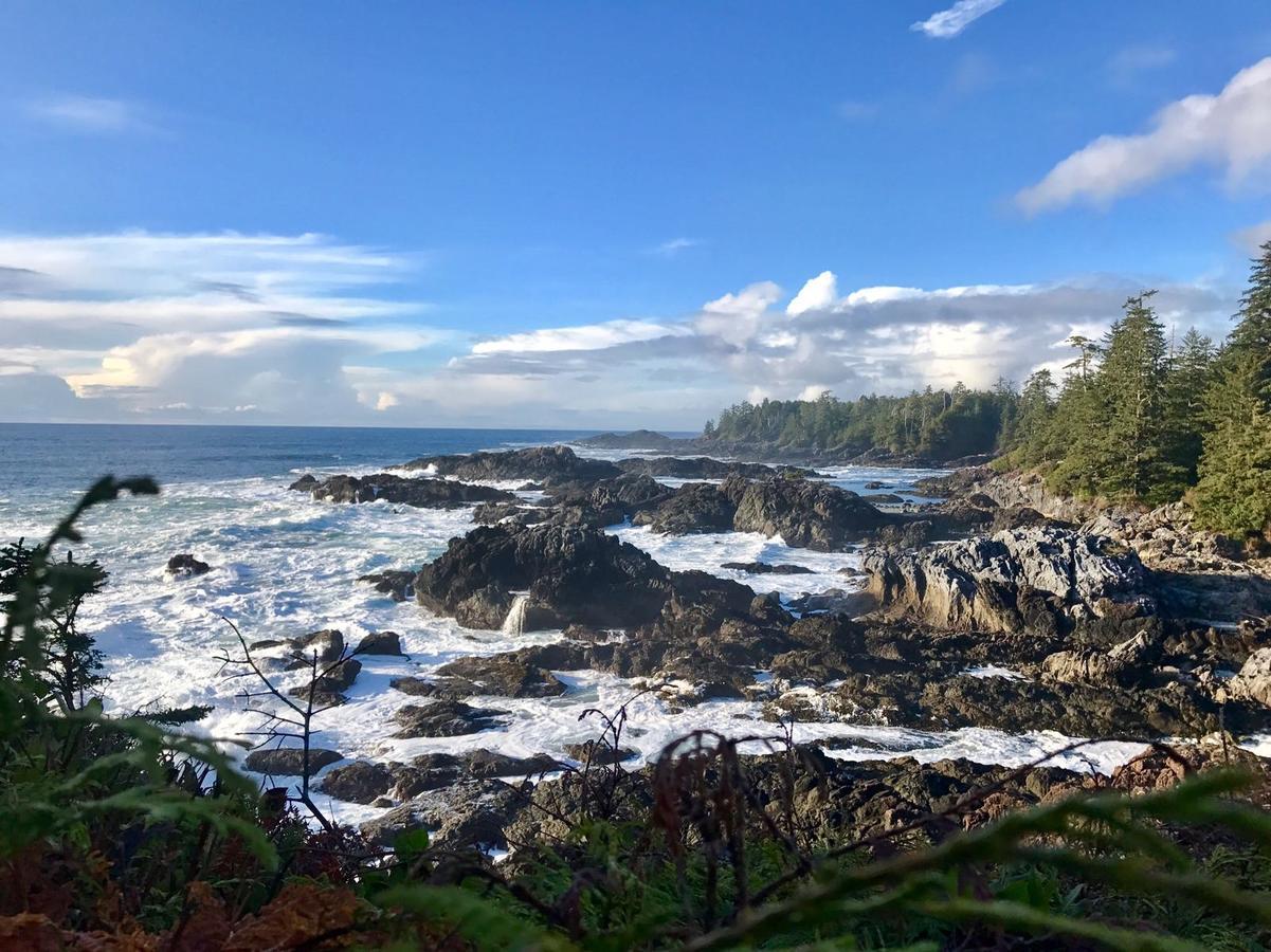 Odyssey Shores Guest Suite Ucluelet Exteriér fotografie