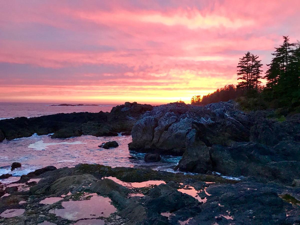 Odyssey Shores Guest Suite Ucluelet Exteriér fotografie