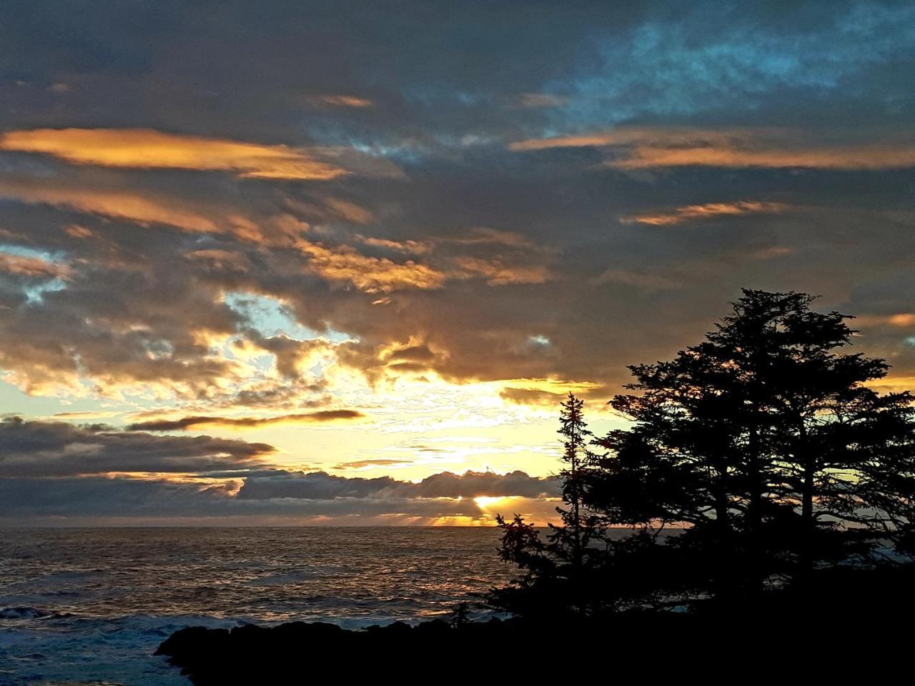 Odyssey Shores Guest Suite Ucluelet Exteriér fotografie